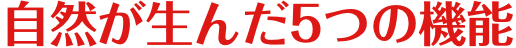 自然が生んだ5つの機能